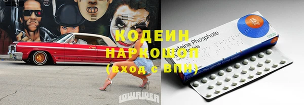 прущие грибы Пересвет