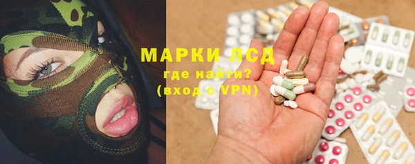 прущие грибы Пересвет