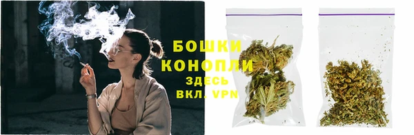 прущие грибы Пересвет