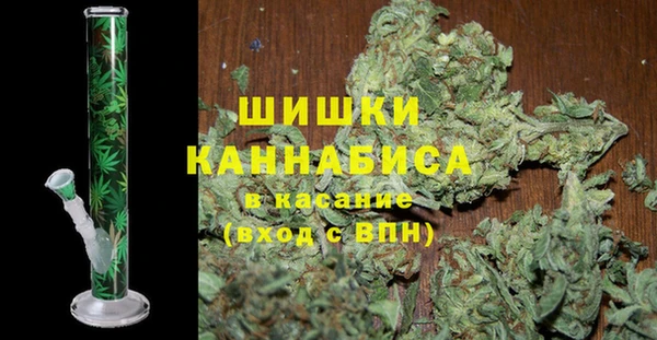 прущие грибы Пересвет