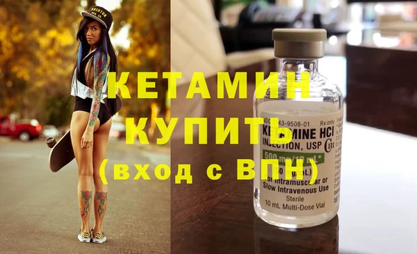 прущие грибы Пересвет