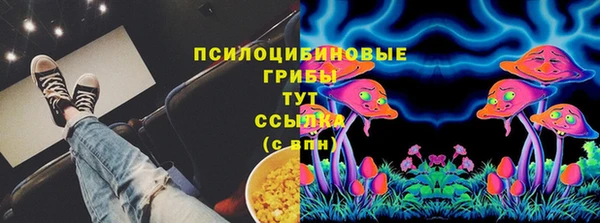 амф Абаза