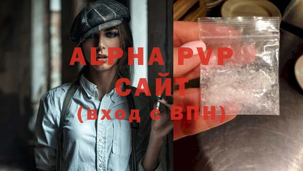 гашик Всеволожск