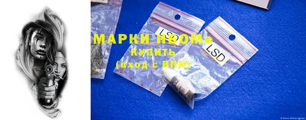 прущие грибы Пересвет