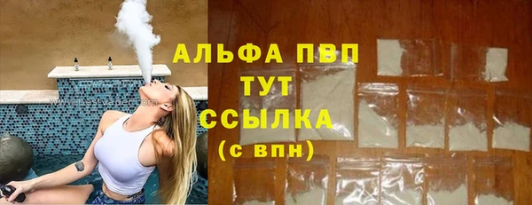 прущие грибы Пересвет