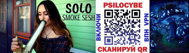 мега вход Александров Псилоцибиновые грибы MAGIC MUSHROOMS купить наркотик
