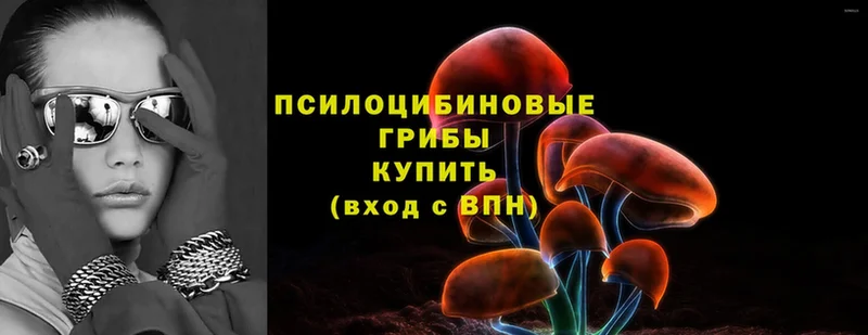 Галлюциногенные грибы Magic Shrooms  Александров 