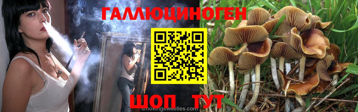 Галлюциногенные грибы Psilocybine cubensis Александров